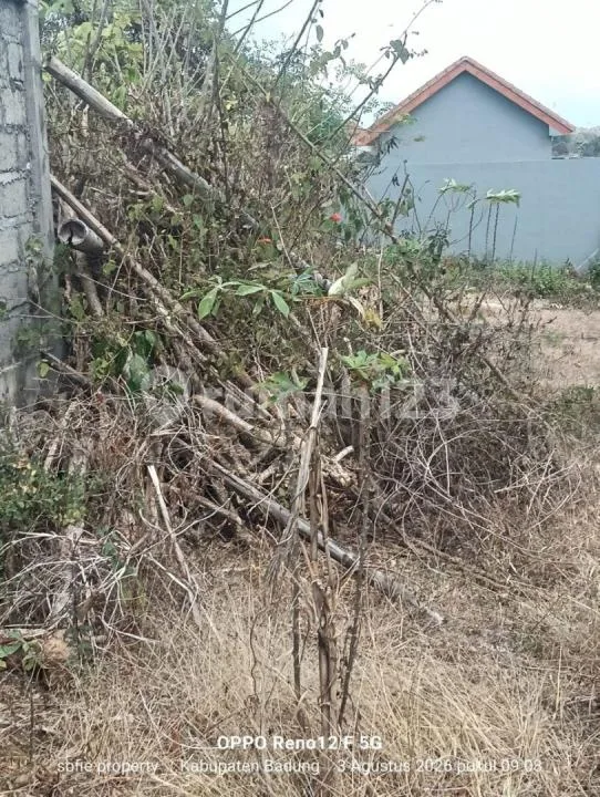 Tanah Murah 3 Are di Kutuh Gayang Sari Dekat Pantai - Image 2 of 4