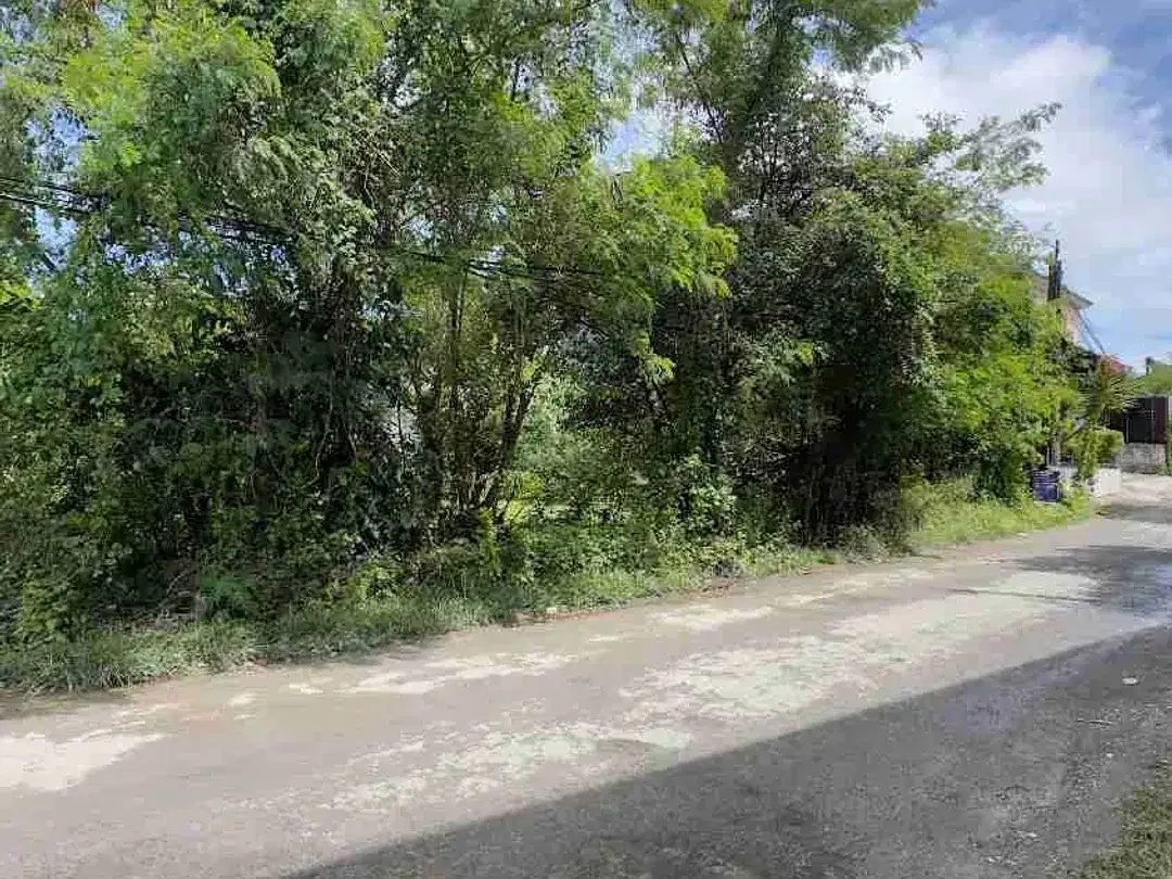 Dijual Tanah 378m2 Jl Utama Melangkata Kutuh Bali - Image 5 of 6