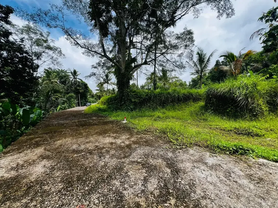 Tanah los sungai payangan ubud - Image 2 of 9