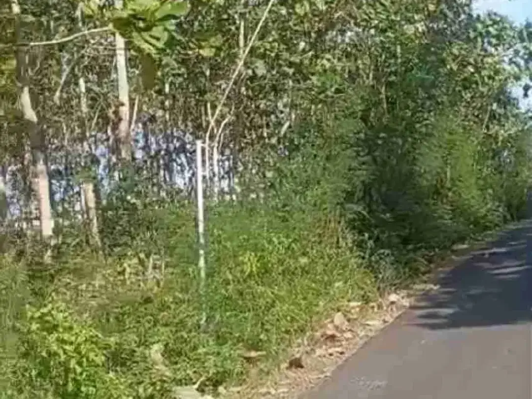 LAND FOR SALE – CUPEL JEMBRANA - Image 2 of 4