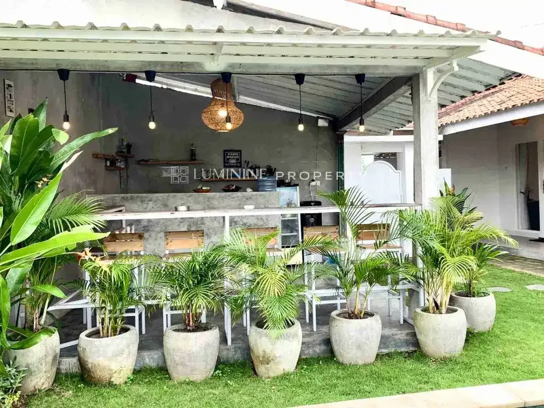 DIJUAL GUEST HOUSE LOKASI STRATEGIS DI CANGGU, BALI - Image 4 of 4