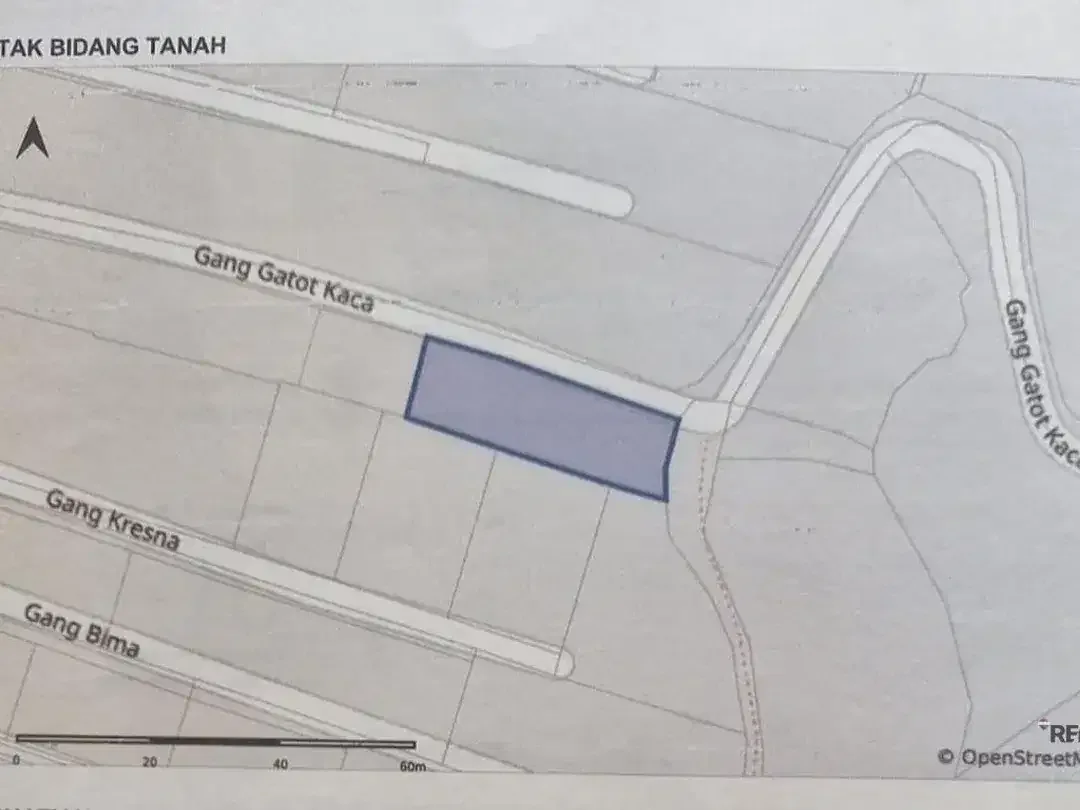 Tanah 4,75 Are untuk Kavling Villa Dijual di Berawa, Canggu Area - Image 5 of 6