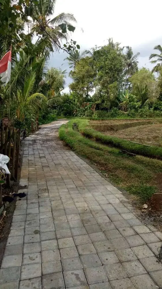 DIJUAL TANAH DENGAN VIEW MEMPESONA TABANAN - Image 3 of 3