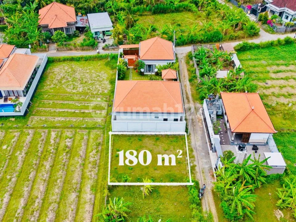 Di Jual Tanah di Central Lovina -Singaraja Bali - Image 4 of 4