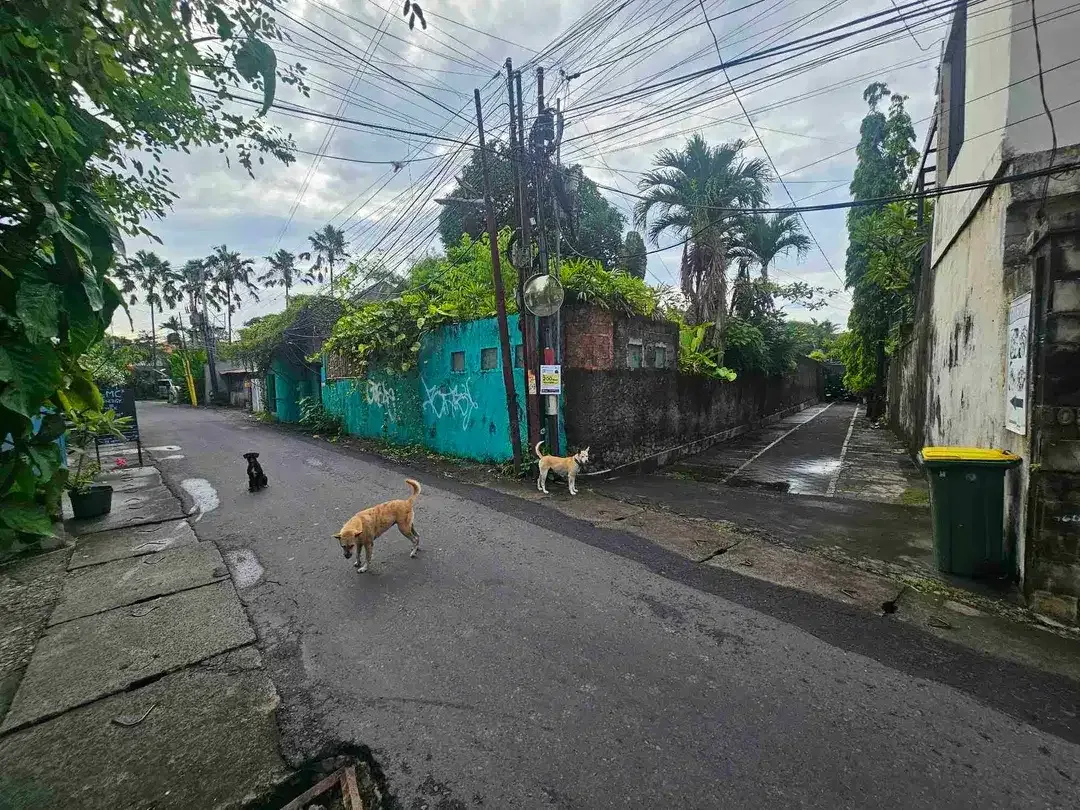dijual tanah premium petitenget seminyak - Image 6 of 8