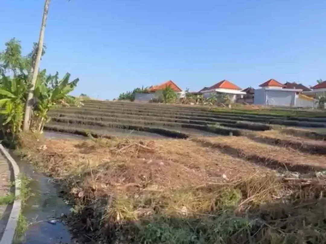 Tanah langka super prime di jalan utama subak daksina Canggu view sawah - Image 3 of 6