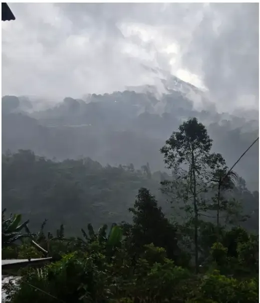Tanah di Bedugul Tabanan - Image 5 of 10