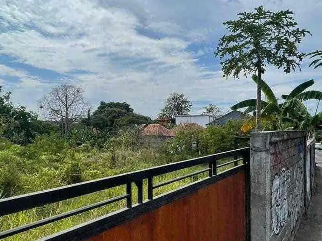 for sale INVESTASI CANGGU: Tanah 29,5 Are Jalan Utama Batu Bolong - Image 4 of 10