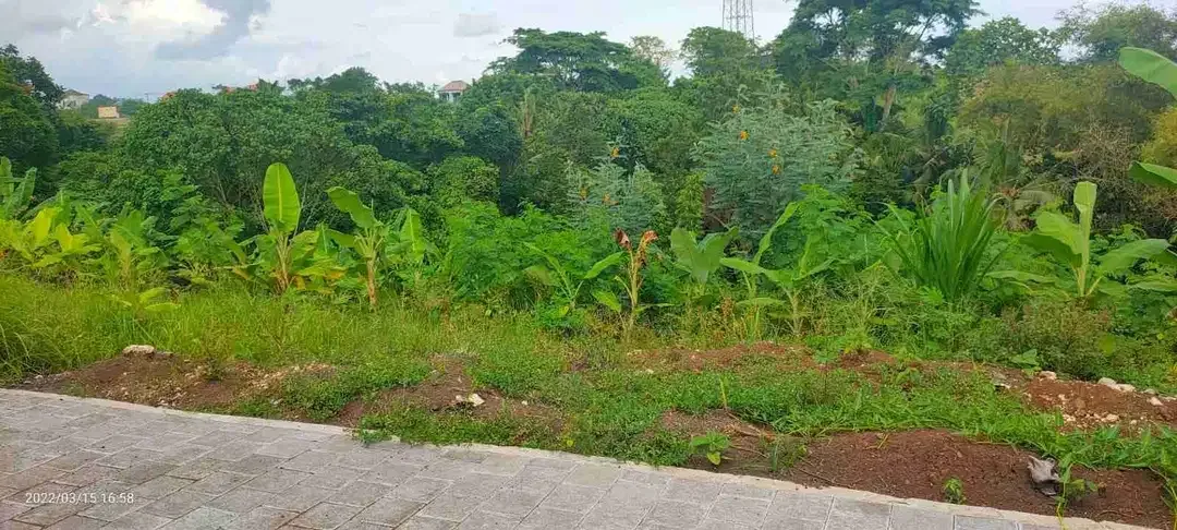 DIJUAL TANAH LOS SUNGAI NYANYI TABANAN - Image 3 of 5