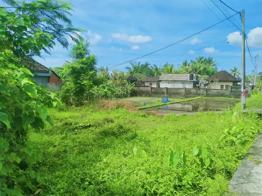 Scenic 2 Are Leasehold Land in Ubud with Rice Field View - Image 1 of 10