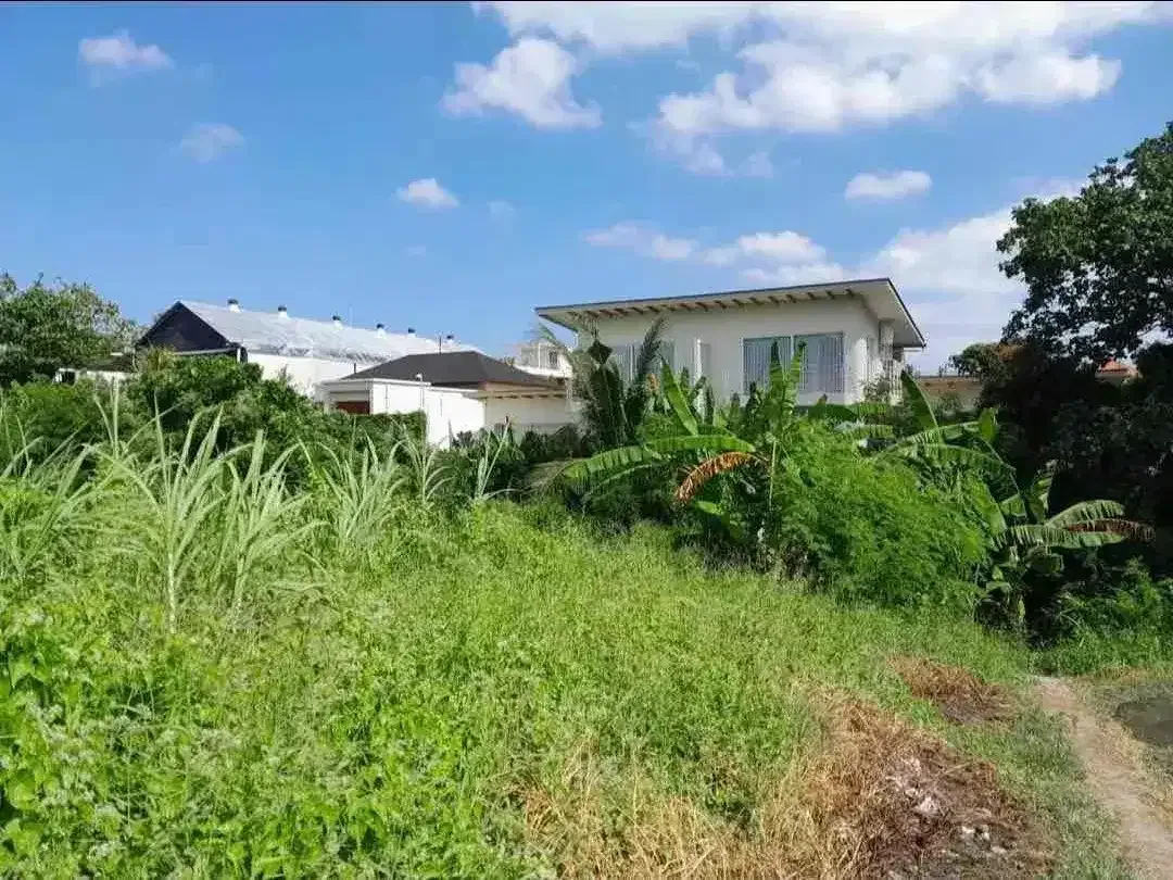tanah sewa bagus untuk villa pribadi lokasi Seseh Munggu dengan view sawah - Image 3 of 5