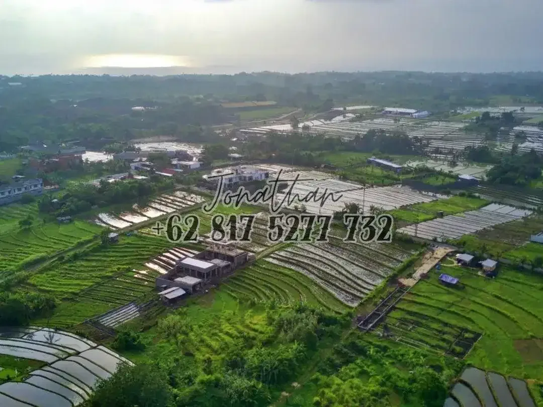 Dijual Tanah View Sawah Zona Wisata di Pantai Nyanyi Tabanan Bali - LSADT - Image 5 of 10