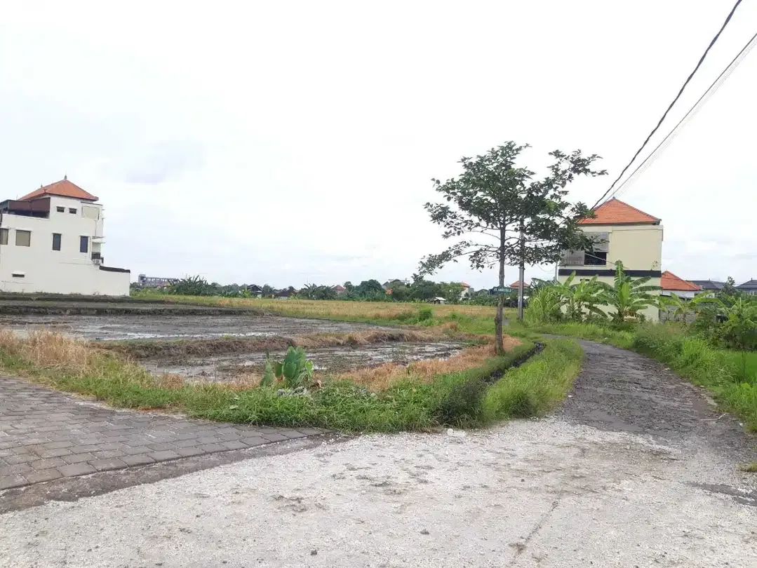 Dijual Tanah di Jalan Arjuna Dalung - Image 3 of 5