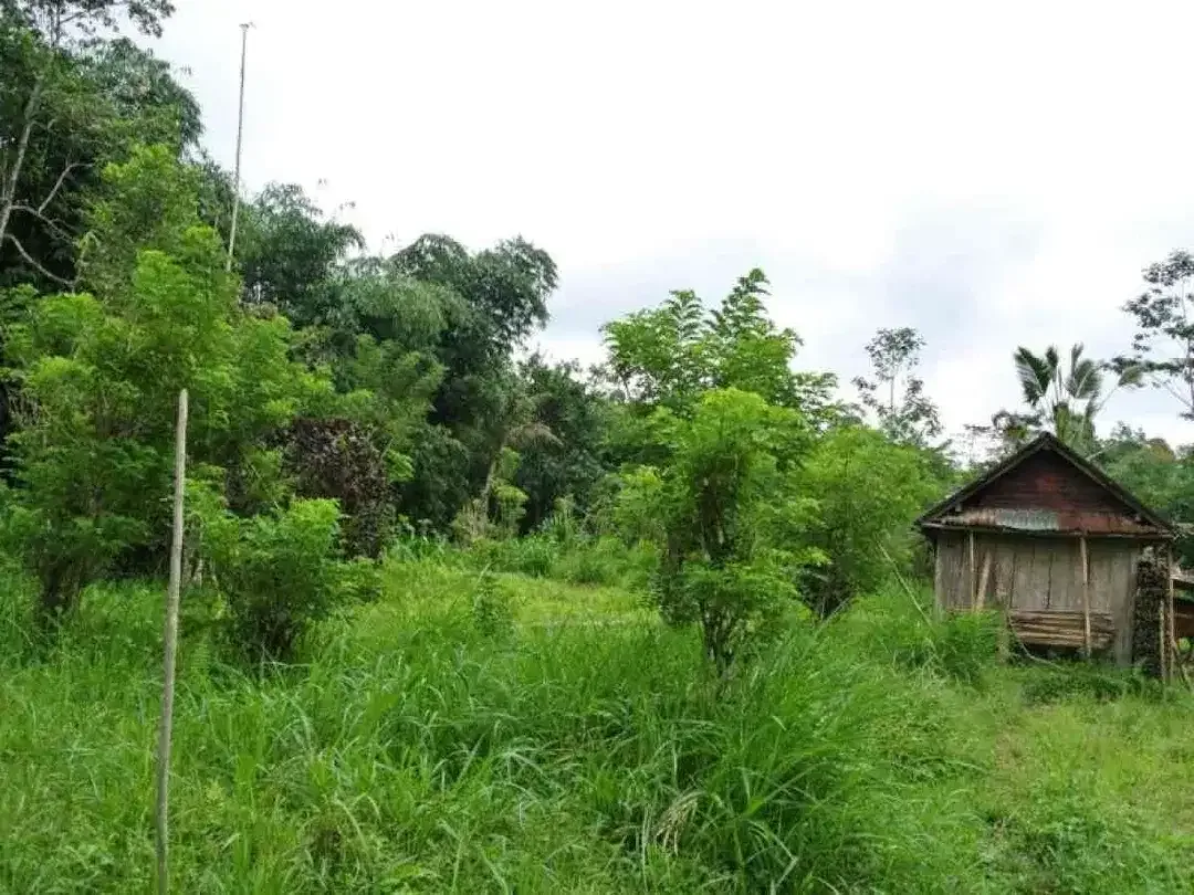 DIJUAL TANAH STRATEGIS DEKAT JATILUWIH TABANAN BALI - Image 2 of 6