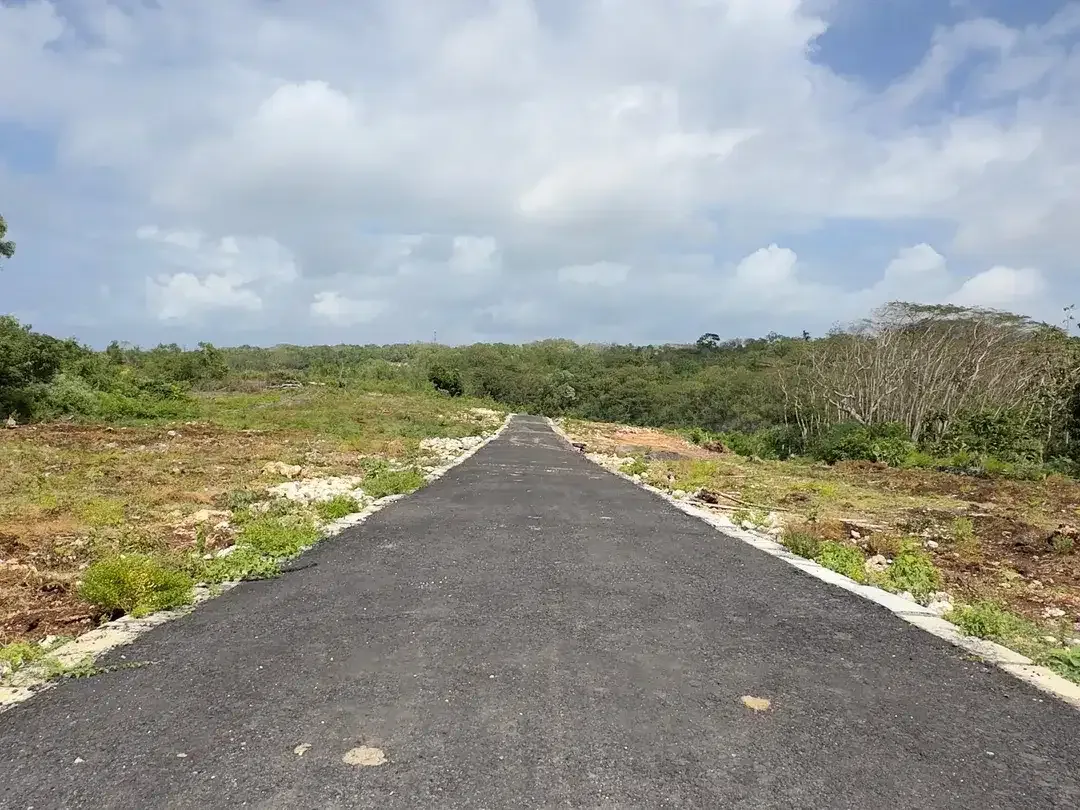 Dijual Tanah 250m2 Jungle View Zona Pariwisata Nusa Dua Bali - Image 4 of 10