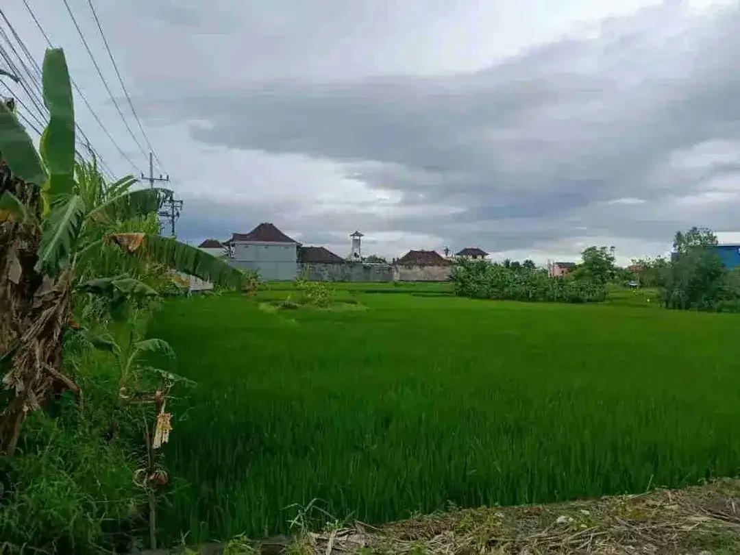Tanah Komersial 2.650m² Jalan Raya Pantai Nyanyi - Image 5 of 10