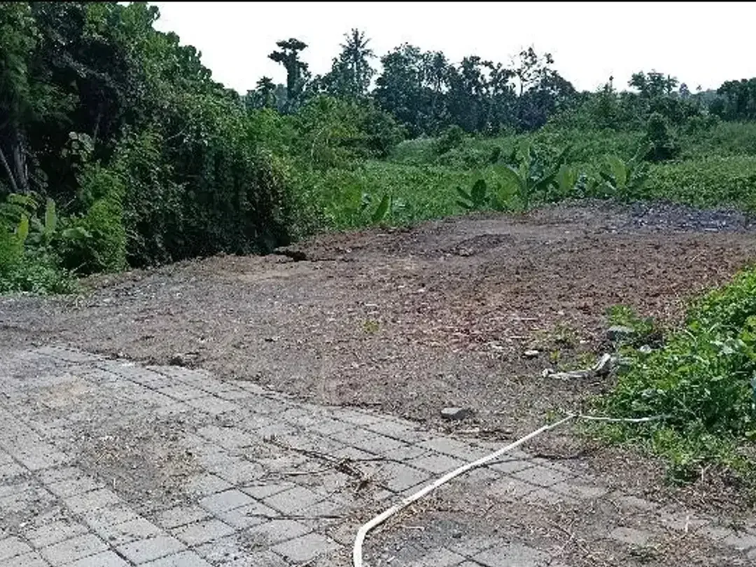 Dijual Tanah daerah Cemagi Badung Bali - Image 1 of 6