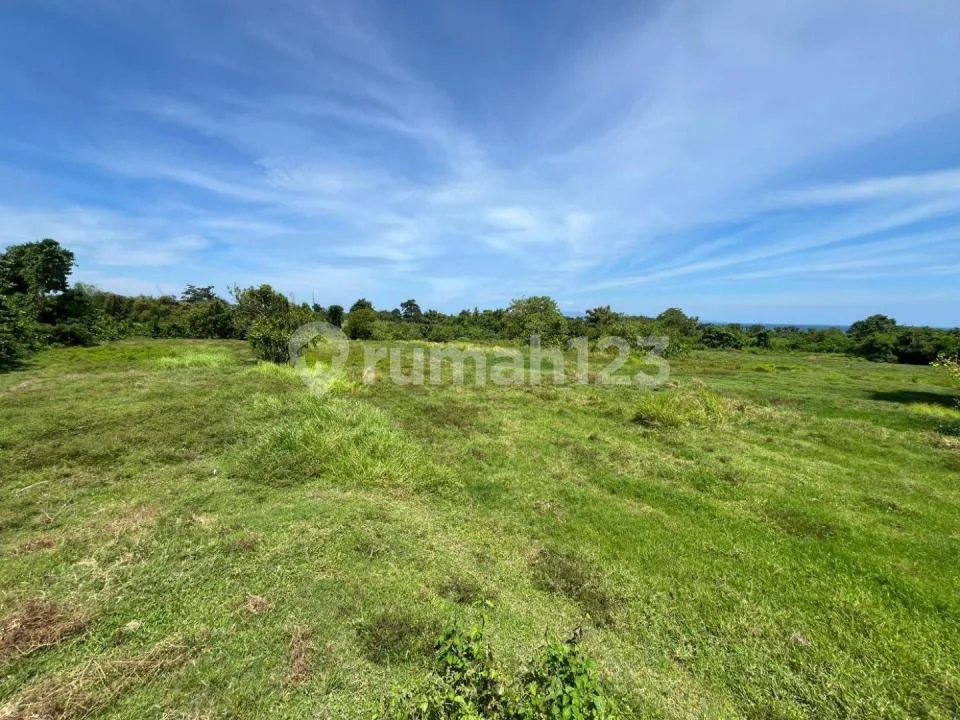 Tanah Komersial 1,11 Ha Zona Pink - Gianyar, Bali - Image 3 of 4