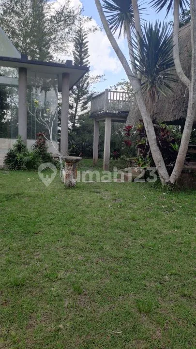 Jual Tanah Dekat Ubud + Bangunan - Image 4 of 4