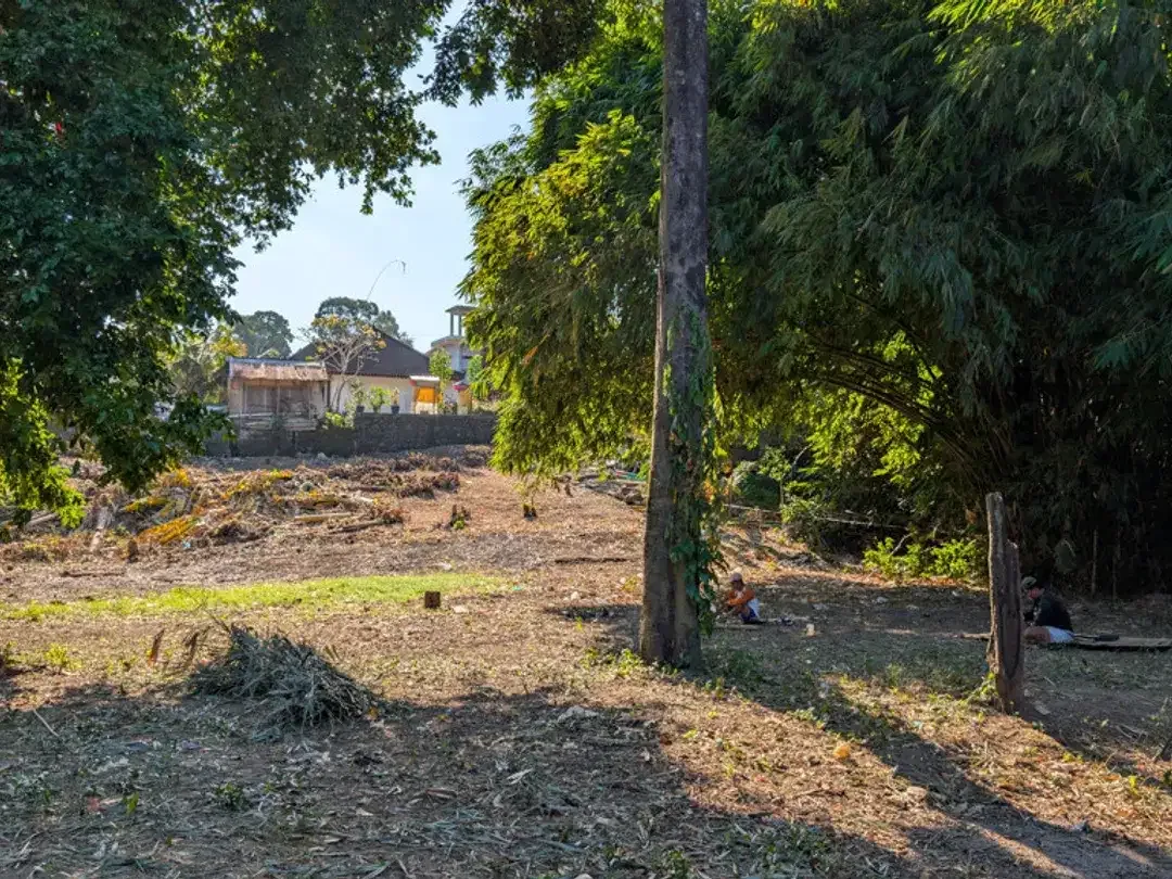 Leasehold - Riverside Land with Mature Trees & Ready Infrastructure in Canggu, Bali - Image 9 of 10