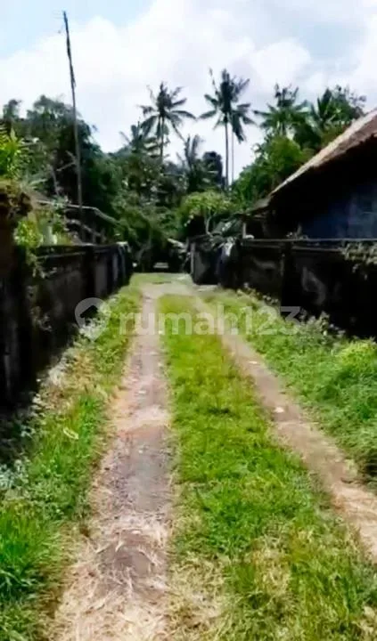 Tanah 90 Are di Area Ubud - Rare & Investment Opportunity - Image 4 of 4