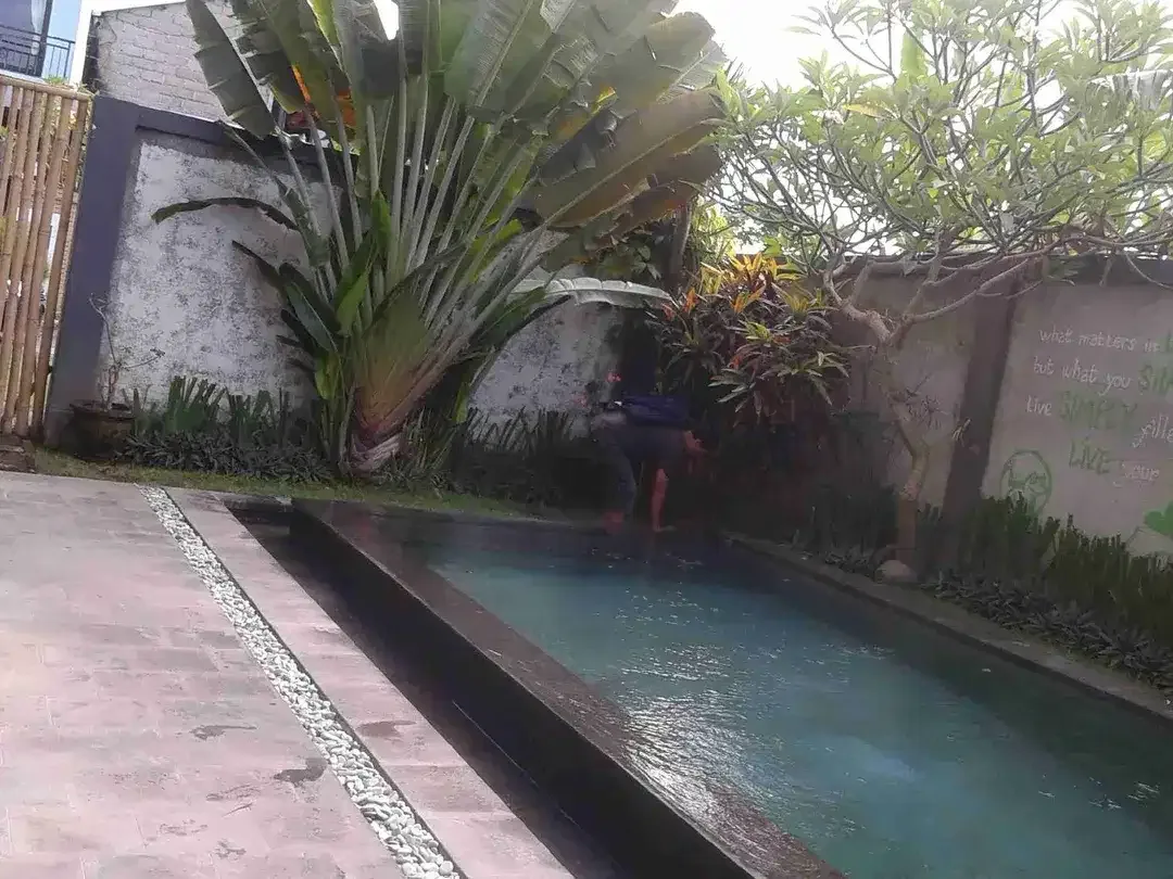 disewakan Villa View sawah dekat Sanur Denpasar - Image 2 of 8