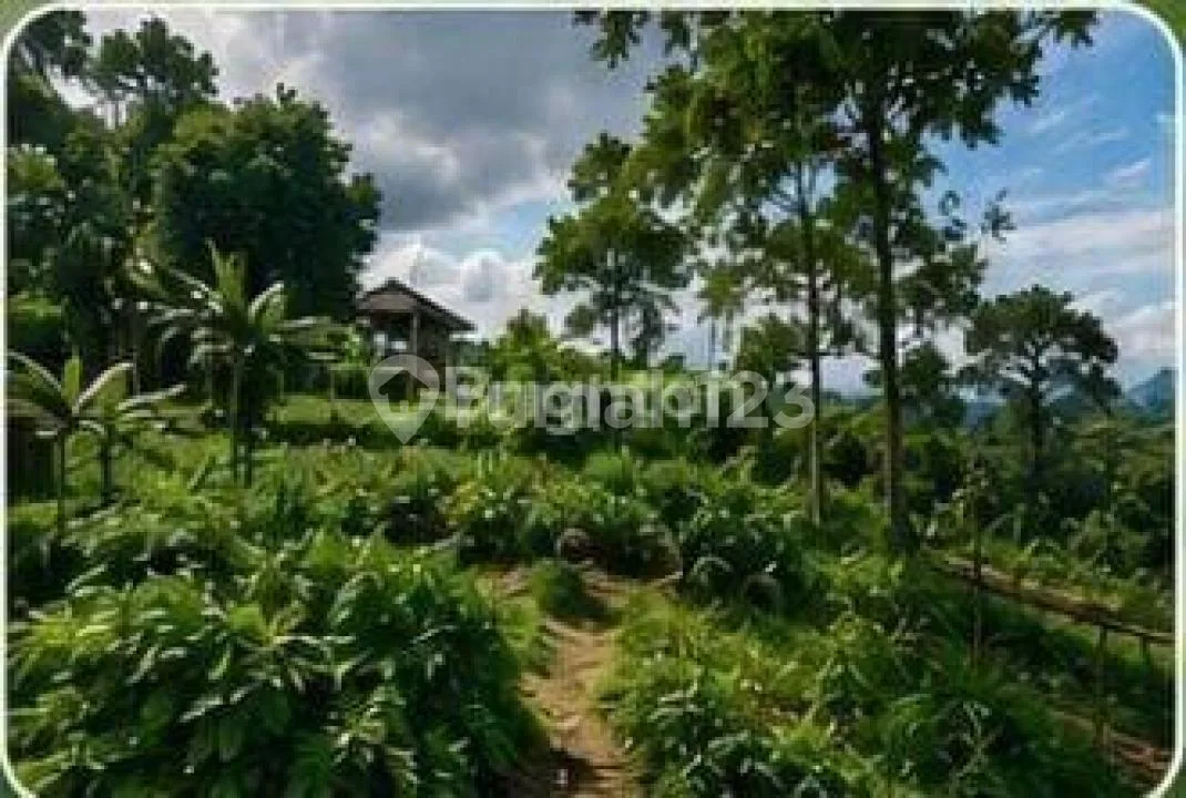 Tanah Luas dan Strategis di Petang Cocok Utk Villa dan Investasi - Image 3 of 3