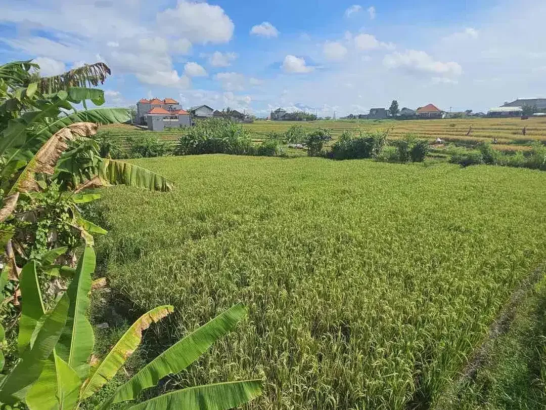 SALE Tanah Hook 310 M² View Sawah Tumbak Bayuh - Image 2 of 8