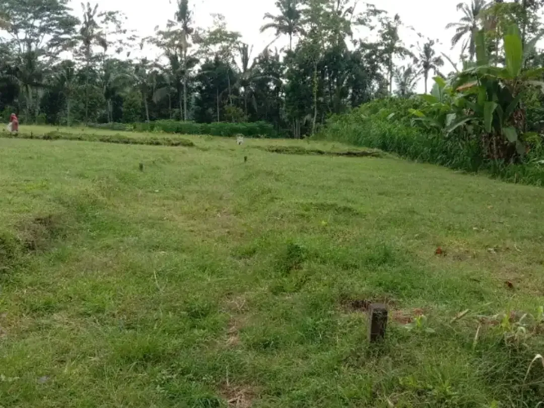 tanah siap bangun Tampaksiring Gianyar Bali - Image 2 of 7