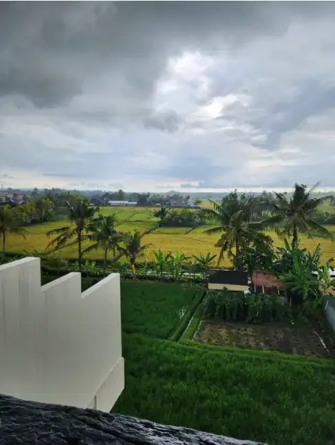 villa baru view sawah & laut pantai Nyanyi - Image 10 of 10