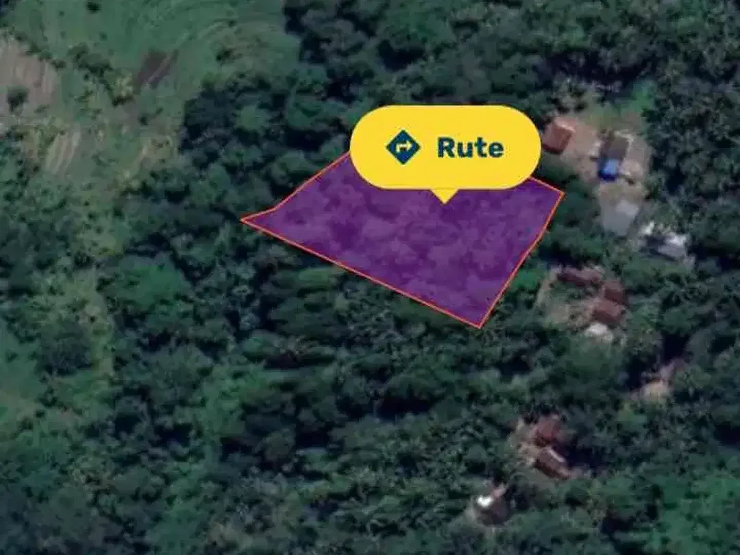 Tanah Sidemen jungle Riceview - Image 4 of 10
