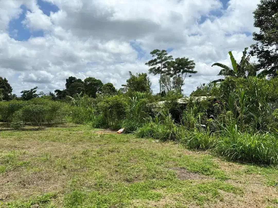 DIJUAL TANAH KAVLING SHM DI DESA TARO, UBUD, BALI - Image 4 of 10