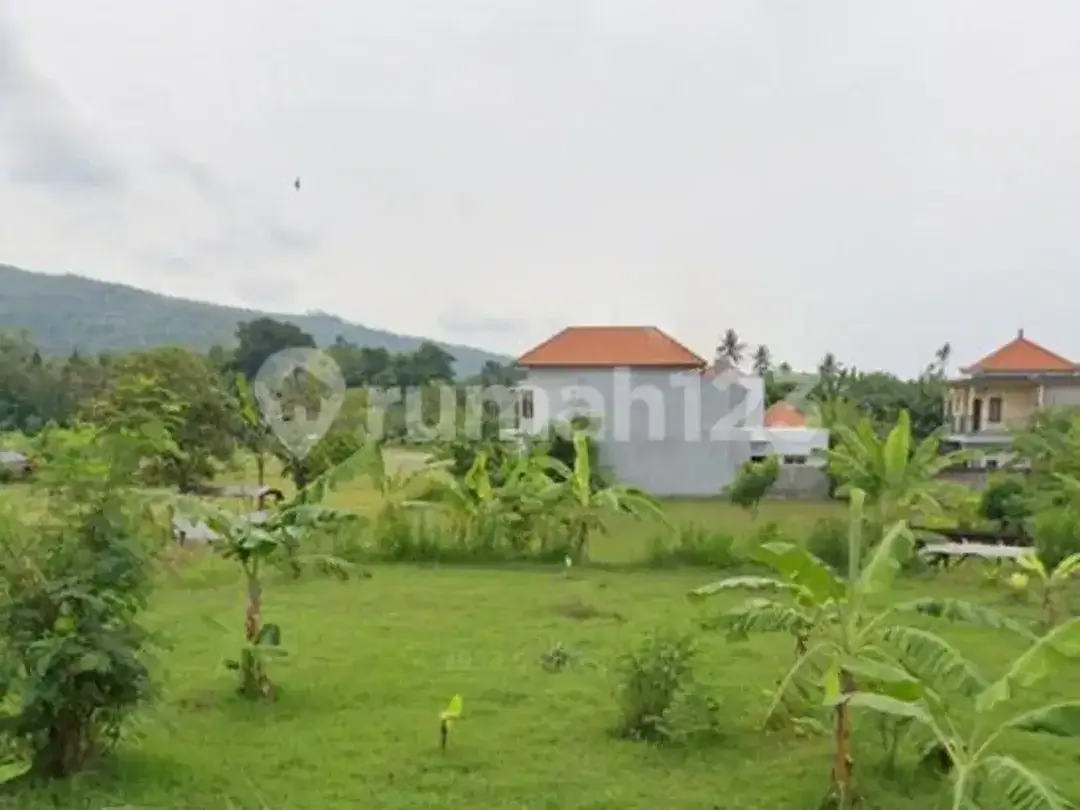 Jarang Ditemukan! Tanah Premium 1.700 M² di Singaraja-Lovina - Image 3 of 8