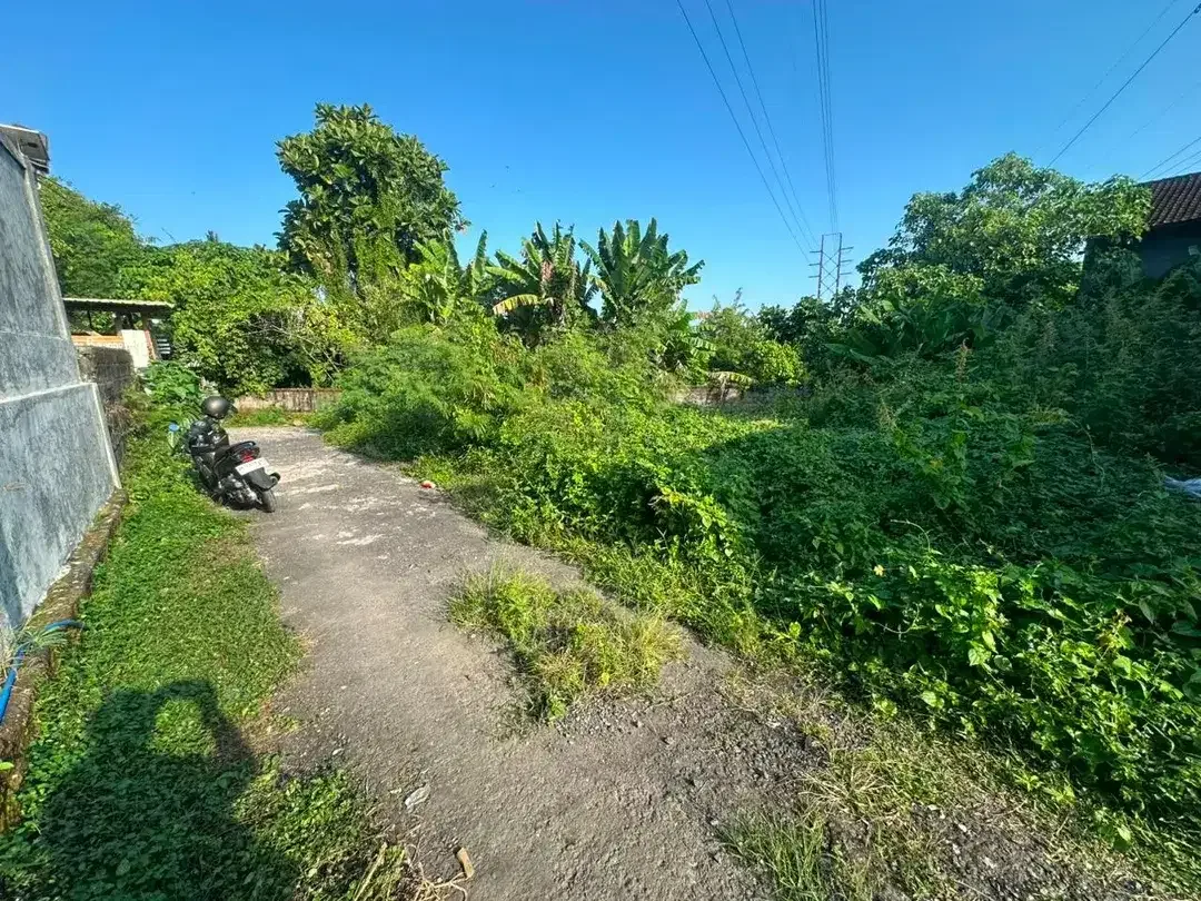 TANAH KOSONG DI ABIANBASE MENGWI BADUNG DEKAT RS DAN TAMAN - Image 5 of 5