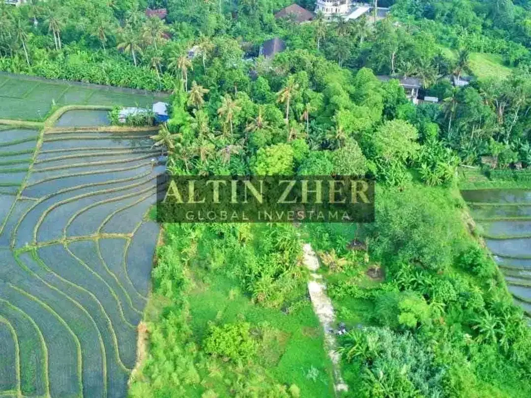 Tanah view sawah berlokasi di Kediri Tabanan dekat dengan pantai nyanyi - Image 10 of 10
