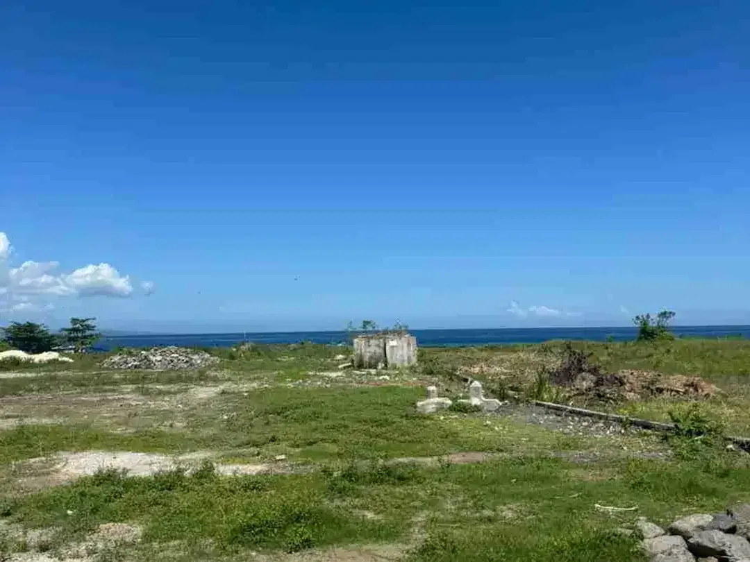 TANAH LOSS PANTAI SIUT IDA BAGUS MANTRA - Image 3 of 7