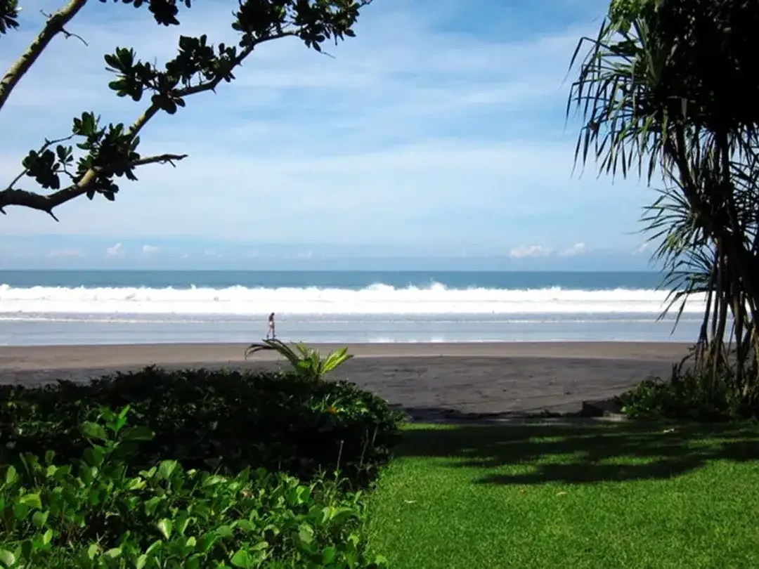 Amazing 37,915 Sqm Beachfront Freehold Land In Jembrana Negara - Image 8 of 10