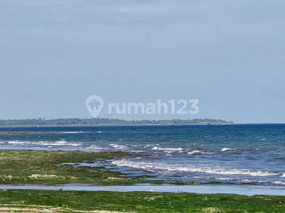 Termurah Tanah Los Pantai Melaya Jembrana Bali - Image 1 of 4