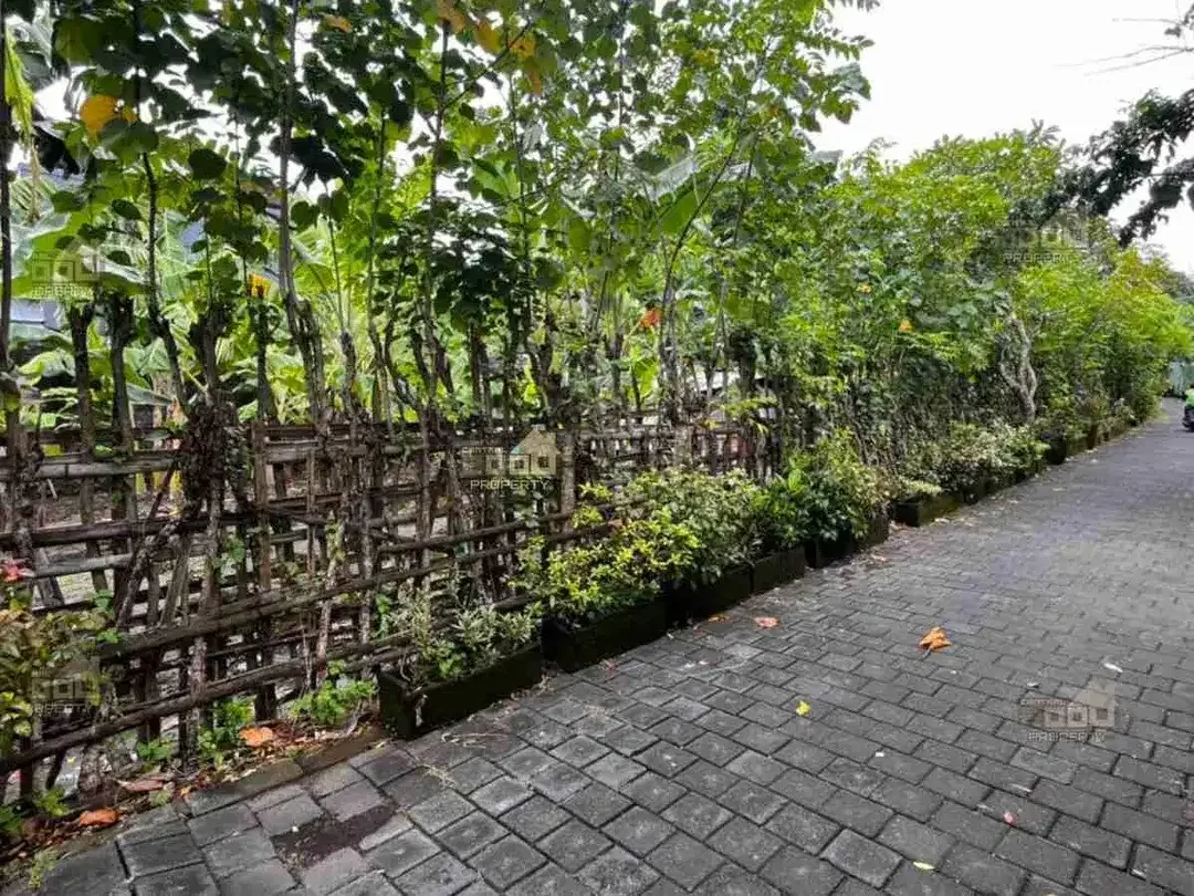 Lahan Komersial Premium di Renon – Lokasi Super Strategis - Image 9 of 10