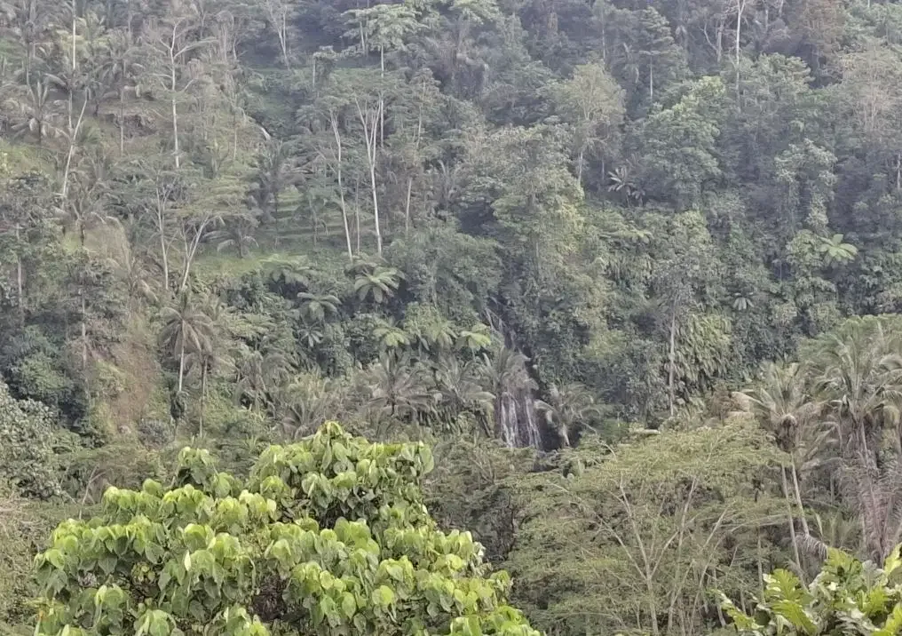 Dijual tanah los sungai besar dan view air terjun, gunung dan sawah - Image 1 of 10