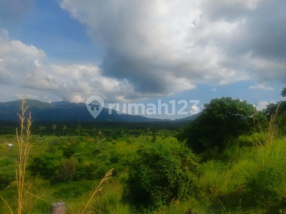 Tanah Jual Lokasi Datah - Image 2 of 4