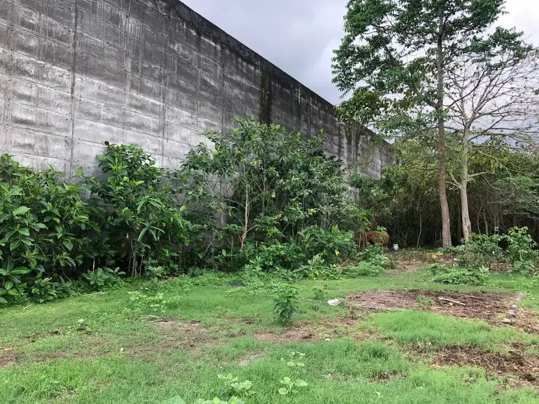 Freehold - Rare Opportunity! Land in commercial located in Ubung Kaja, Denpasar Utara, Bali - Image 7 of 9