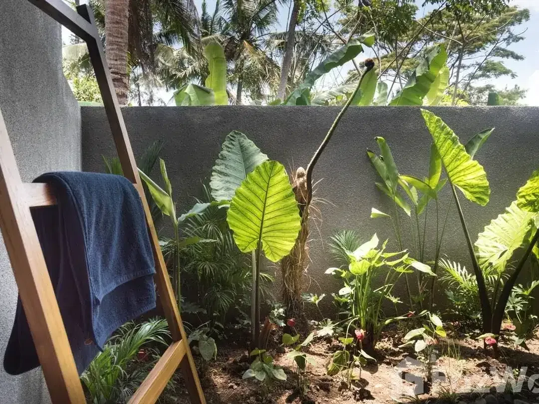 3 Bedroom Villa for sale in Ubud, Bali - Image 4 of 10