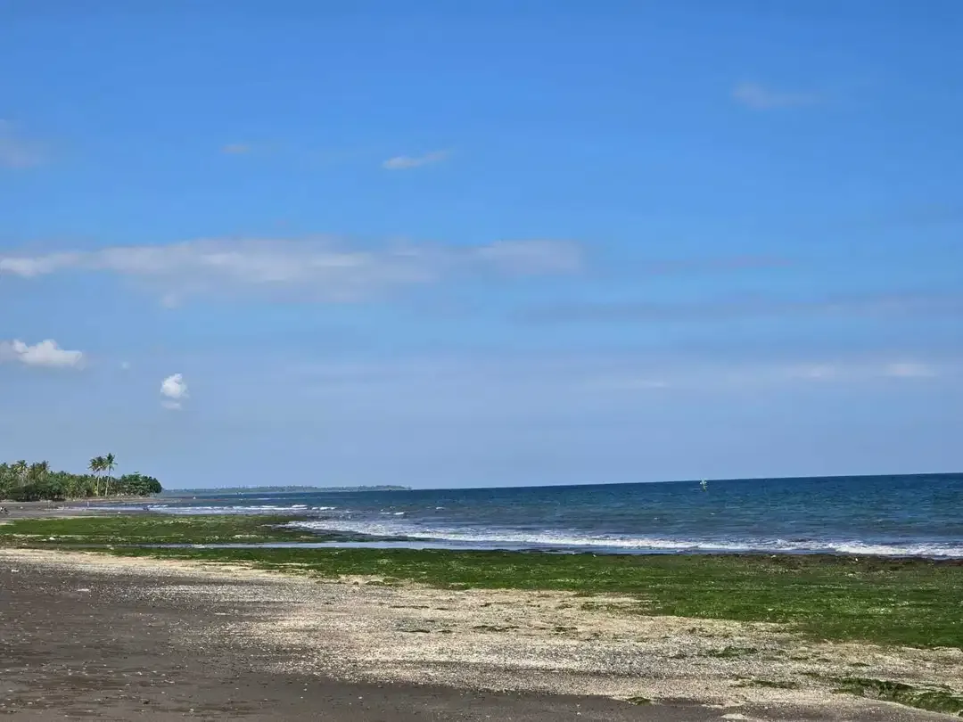 Dijual tanah kecil los pantai di bali - Image 3 of 10