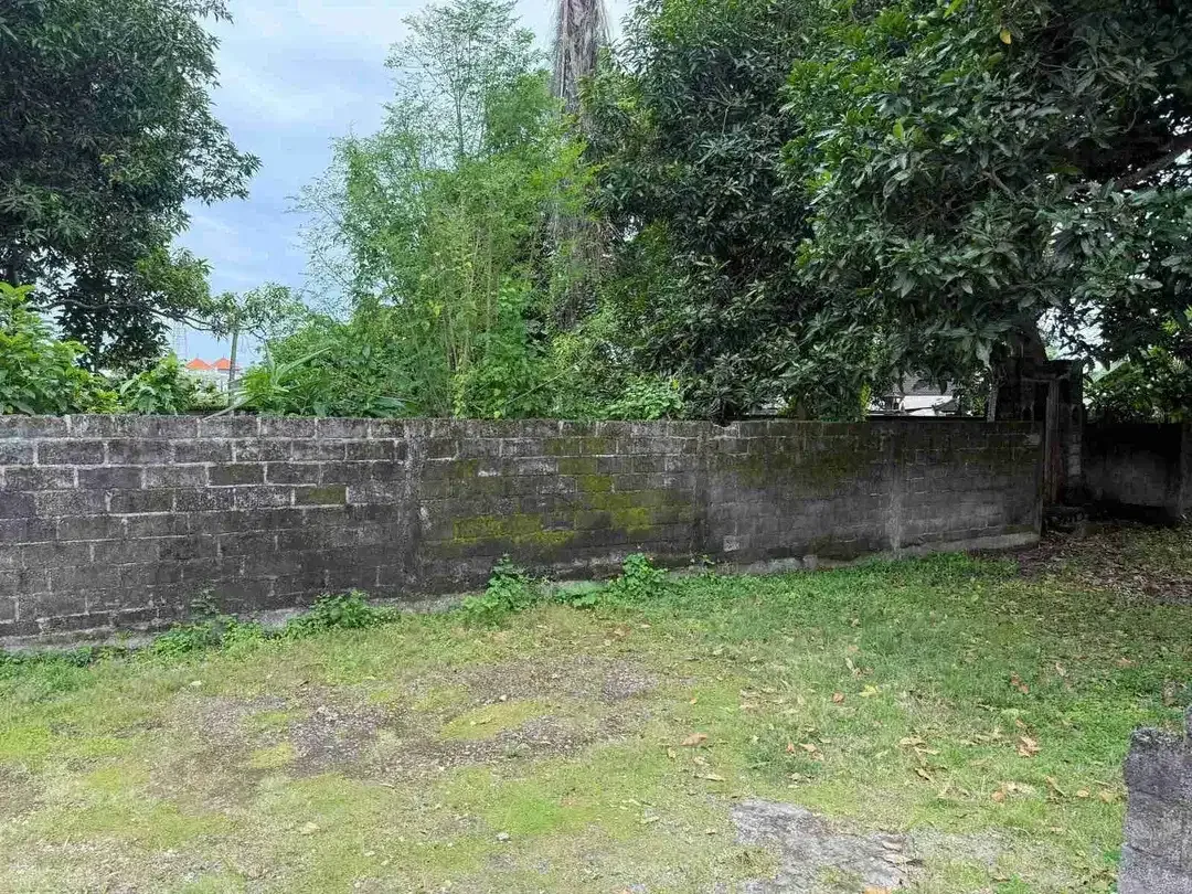 JUAL TANAH DEKAT 
PANTAI KELAN & BANDARA NGURAH RAI BALI
LOKASI JALAN SEGARA MADU, KEDONGANAN
JIMBARAN KUTA SELATAN 
COCOK UNTUK PERUMAHAN, KOMPLEK VILLA 
VILLA KOMERSIL - Image 9 of 10