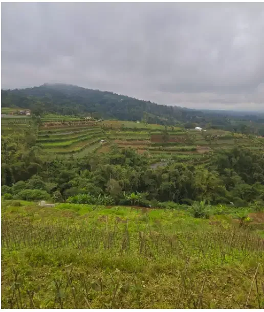 Land for lease at Bedugul Tabanan - Image 9 of 10