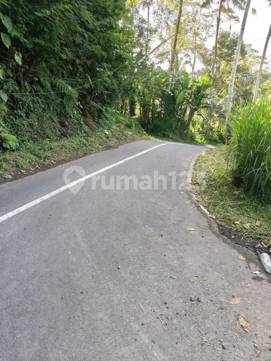 Tanah untuk Villa di Ubud View 360â° Diatas Bukit. - Image 3 of 4