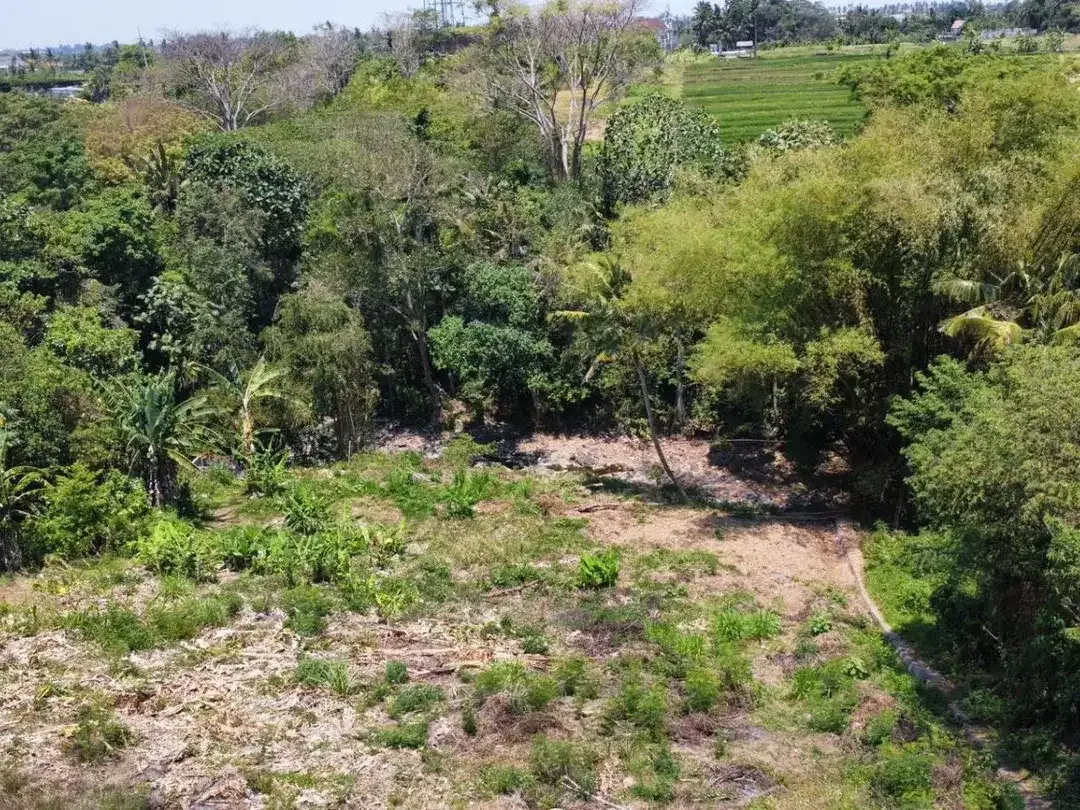 Dijual Tanah Strategis di Pantai Nyanyi Tabanan Bali - Image 3 of 7