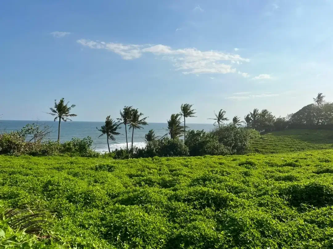 DIJUAL TANAH PREMIUM BEACHFRONT DI TABANAN - Image 1 of 10