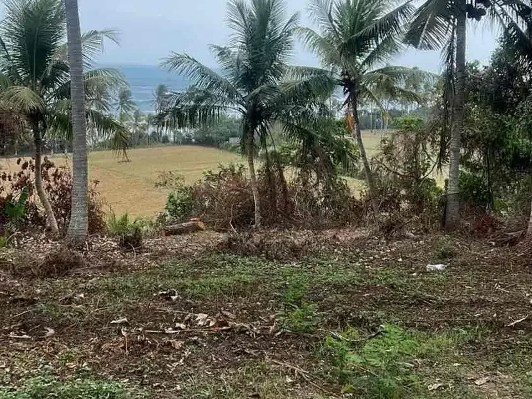 SALE 20,5 Are 100 Meter dari Balian Beach - Image 8 of 9